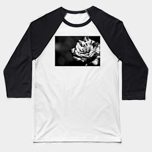 Different but beautiful, black and white rose flower photography Baseball T-Shirt